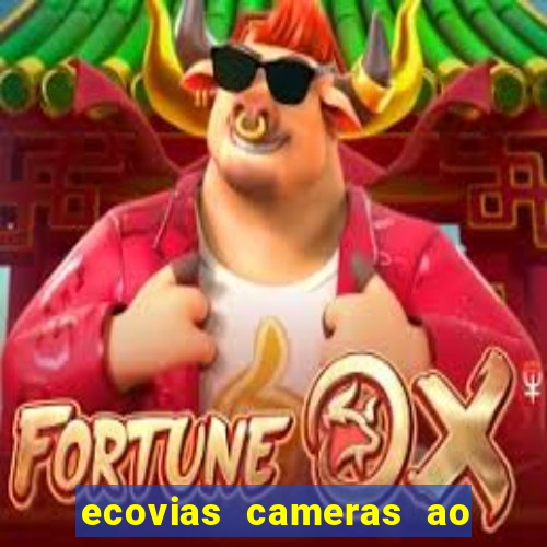 ecovias cameras ao vivo santos